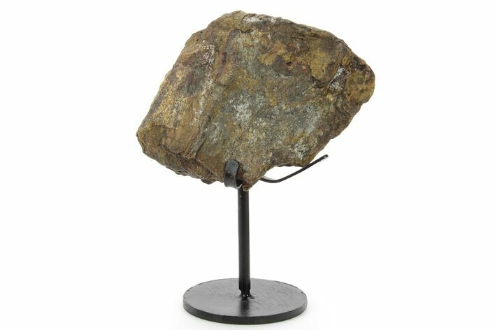 Fossil Hadrosaur Metatarsal Section w/ Metal Stand - South Dakota #378536